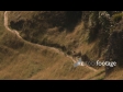 Runner Trail 1691